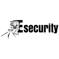 e-security